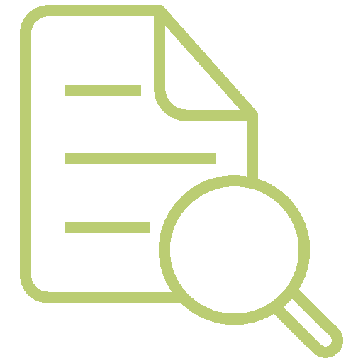 paper with magnifying glass icon